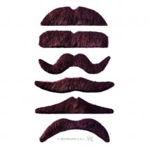Lot de 12 moustaches chatain fonce auto-adhésives (chatain fonce)