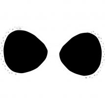 Lunettes de star diamond blanches (BLANC)