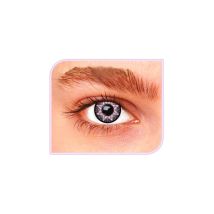 Lentilles étoile violette (3 mois)