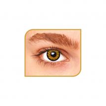 Lentilles marron (1 mois)