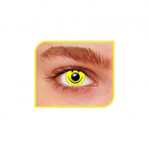 Lentilles smiley (1 mois)