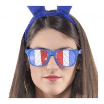 Lunettes tricolores bleu blanc rouge
