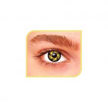 Lentilles tourbillons marron jaune (1 mois)
