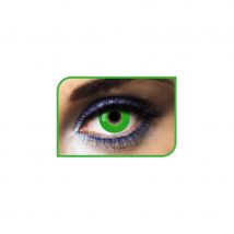 Lentilles vertes (1 an)