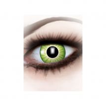 Lentilles vertes style électro (1 an)