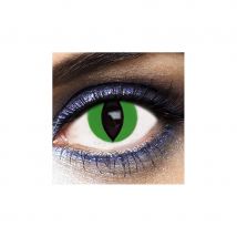 Lentilles yeux de chat fond vert (1 mois)