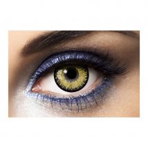 Lentilles yeux or (1 an)