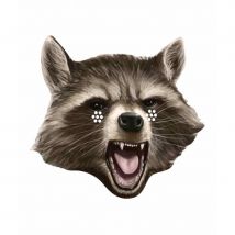 Masque de Rocket en carton plat