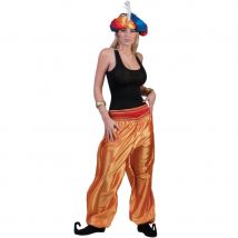Pantalon doré de danseuse orientale pour femme (Taille unique)