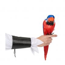 Perroquet d'épaule décoratif