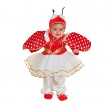 Robe de petite coccinelle pour bébé (12 mois)