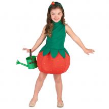 Robe fraise pour enfant (3/4 ans)
