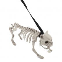 Squelette de chien lumineux et sonore