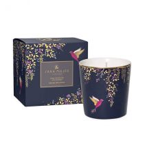 Sara Miller By Wax Lyrical Amber, Orchid & Lotus Blossom Candle