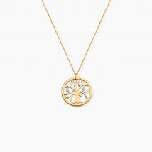Collier Or Jaune Argius Diamants - Pour Femme - Pierre en Diamant de forme Ronde - Motif Cercle - Histoire d'Or