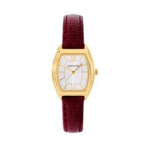 Montre Codhor Eloise Argenté - Boîtier Jaune - Cadran Argenté - Bracelet Marron - Mécanisme en Quartz - Pour Femme - Histoire d'Or