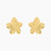 Boucles D'oreilles Puces Barbade Acier Jaune - Pour Femme - Histoire d'Or