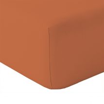 Drap housse en coton Lavé Oekotex - Terracotta - 80x200 cm - Coton - Home Maison