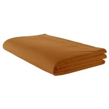 Drap Plat Uni en 100 % Coton - Marron Clair - 240x310 cm - Coton - Home Maison