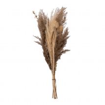 Bouquet de pampas séchées - Naturel - Diam.18xH.58 cm - Végétale - Home Maison