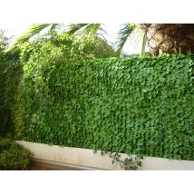 Haie artificielle feuillage lierre JET7GARDEN - Vert - Plastique - Home Maison