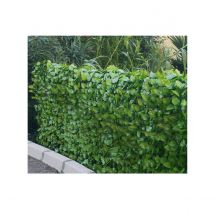 Haie végétale artificielle aspect feuilles de rosier JET7GARDEN - Vert - Plastique - Home Maison