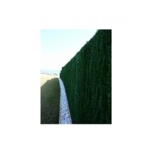 Haie "126 ULTRA" JET7GARDEN - Vert - 1mx 3 m - Plastique - Home Maison