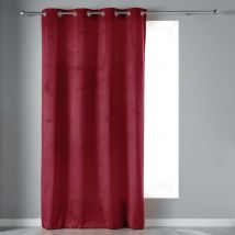 Rideau tamisant en velours ras - Bordeaux - Velours - Home Maison
