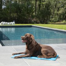 Matelas en gel rafraichissant - Bleu Marine - Plastique - Home Maison