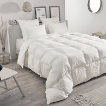 Couette chaude en plumettes et duvet - Blanc - 220x240 cm - Coton - Home Maison