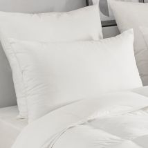 Oreiller en plumettes et duvet - Blanc - Coton - Home Maison
