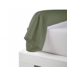 Taie de traversin uni en percale de coton - Vert - Percale de coton - Home Maison