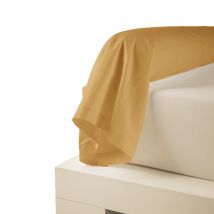 Taie de traversin uni en percale de coton - Ambre - Percale de coton - Home Maison