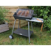 Barbecue à charbon avec grille foyère verticale - Argent - Métal - Home Maison
