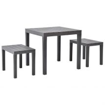 Table de jardin avec 2 bancs - Marron Clair - Plastique - Home Maison