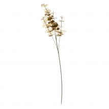 Branche d'eucalyptus dorée - Doré - Plastique - Home Maison