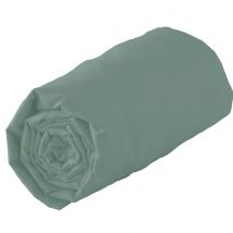 Drap housse 100% coton biologique - bonnet 30 cm - Bronze - 160x200 cm - Coton - Home Maison