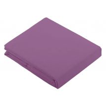 Drap Plat Uni en 100 % Coton - Violet parme - Coton - Home Maison