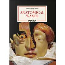 Anatomical waxes. 45th Ed. Ediz. inglese, francese e tedesca