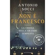 Non è Francesco. La Chiesa nella grande tempesta