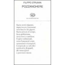 Pozzanghere