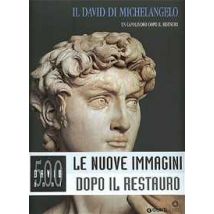 Il David di Michelangelo. Un capolavoro dopo il restauro. Ediz. illustrata