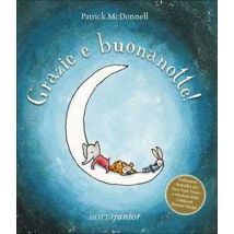 Grazie e buonanotte!