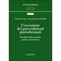 L' esecuzione dei provvedimenti giurisdizionali. Disciplina dell'esecuzione penale e finanziaria