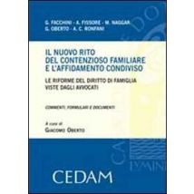Il nuovo rito del contenzioso familiare e l'affidamento condiviso. Le riforme del diritto di famiglia viste dagli avvocati. Commenti, formulari e documenti