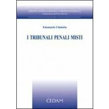 I tribunali penali misti