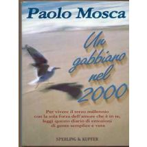 Un gabbiano nel 2000