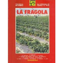 La fragola