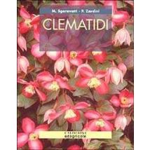 Clematidi
