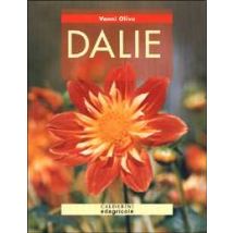 Dalie